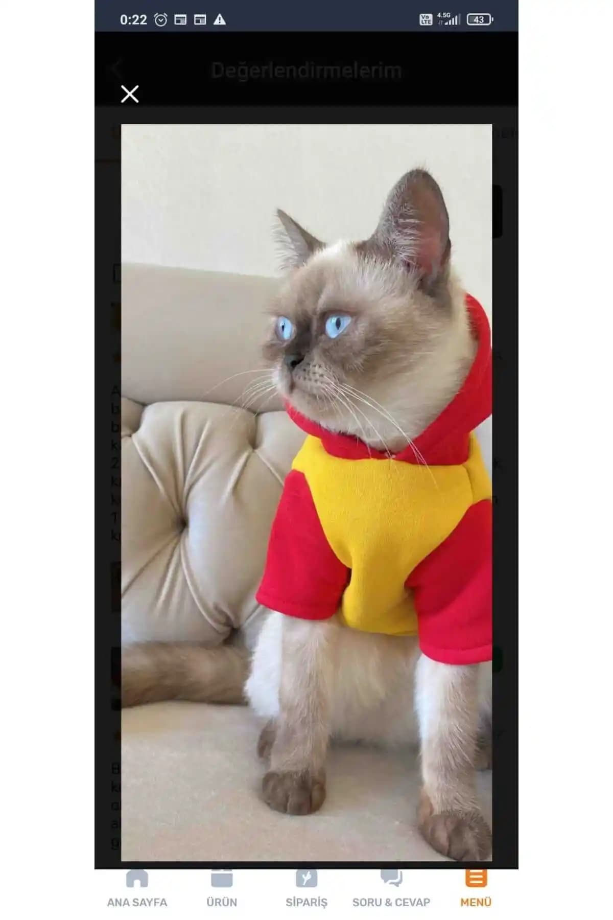 Tuğba Fashion Taraftar L: 4-6 kg dostlar için iç şardonlu kışlık sıcaklık kıyafeti