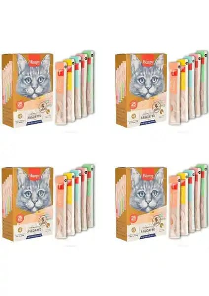 Wanpy Karışık Lezzetli Sıvı Kedi Ödülü: 4 Paketlik Set ile Gün içi Kolay Ara Öğünler