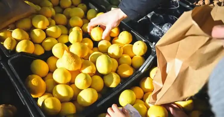 2 Kilo Limon Kaç Adet Olur ve Doğru Seçim İçin İpuçları