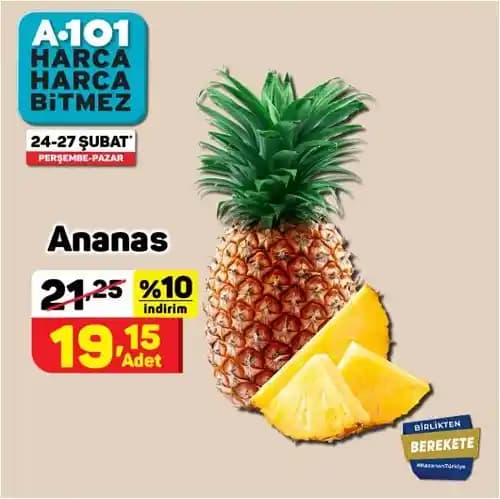 A101 Konserve Ananas Ürün Özellikleri ve Kullanım İpuçları Hakkında Detaylı Bilgi