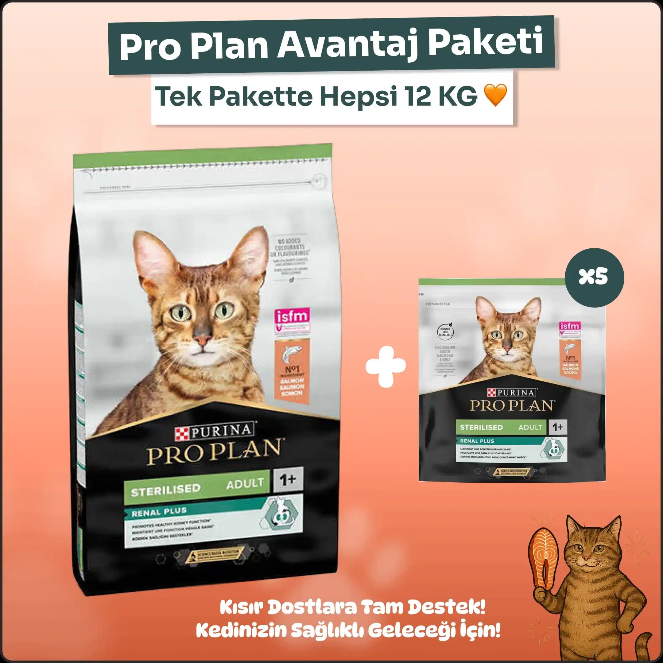 A101 ve Proplan Kedi Mamaları: Güvenilirlik ve Kalite Değerlendirmesi