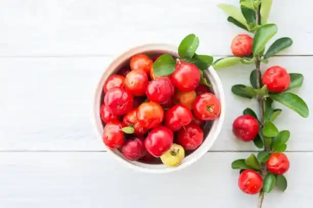 Acerola Meyvesinin Sağlık Faydaları ve Doğal Vitamin Kaynağı Olarak Önemi