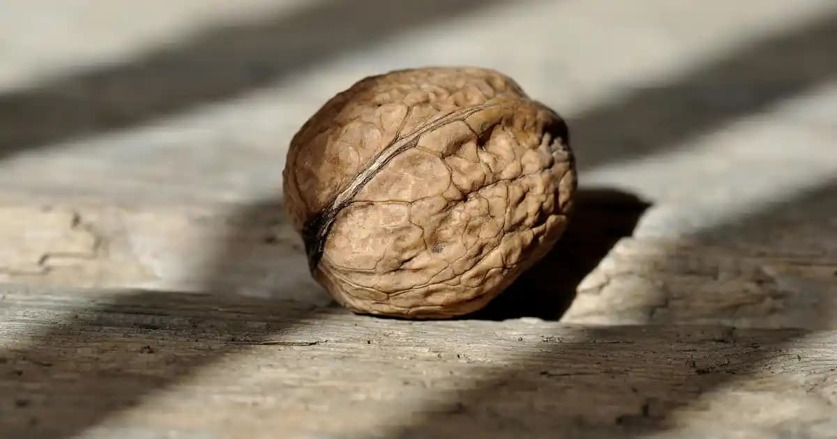 Alkolsüz Bira Nedir ve Sağlıklı Yaşam Trendleriyle Yükselişi