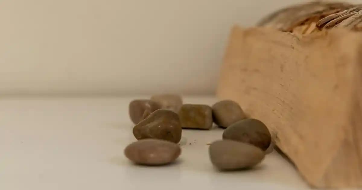 Assos Bio Spirulina Nedir ve Sağlıklı Yaşamda Nasıl Kullanılır