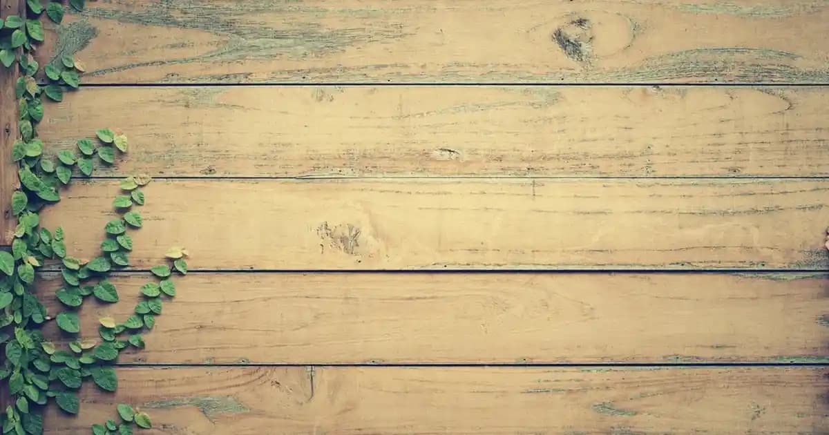 Baldo pilav: Türk mutfağında tane tane ve sağlıklı bir pilav seçeneği