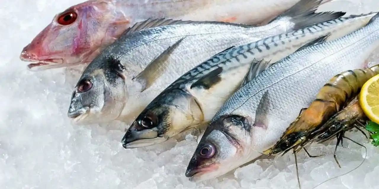 Bebekler İçin Balık Tüketimi: Güvenli ve Sağlıklı Beslenme Rehberi