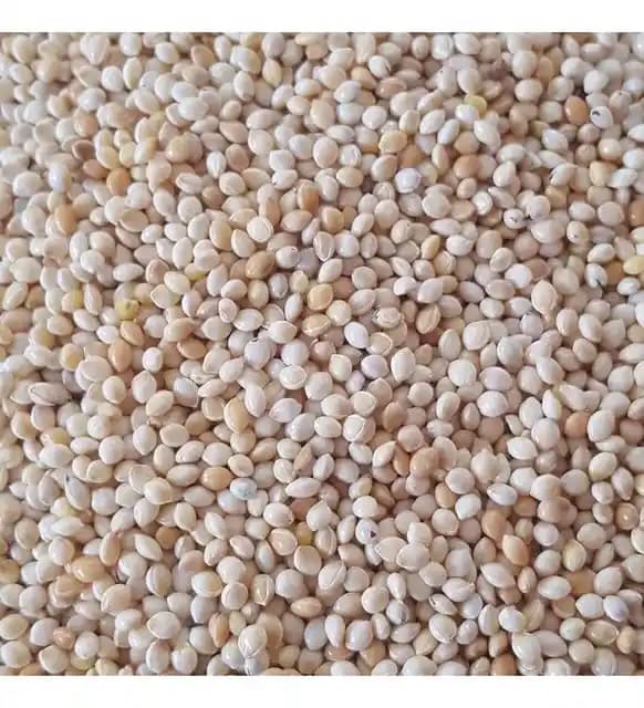 Beyaz Darı Nedir, Özellikleri ve Sağlık Faydaları Hakkında Kapsamlı Bilgi