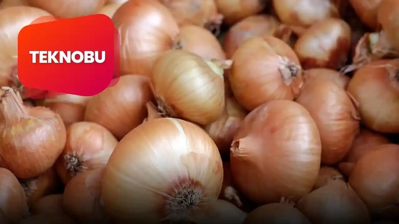 Bim Kuru Soğanı: Uzun Süre Dayanıklı ve Ekonomik Mutfak Temel Malzemesi