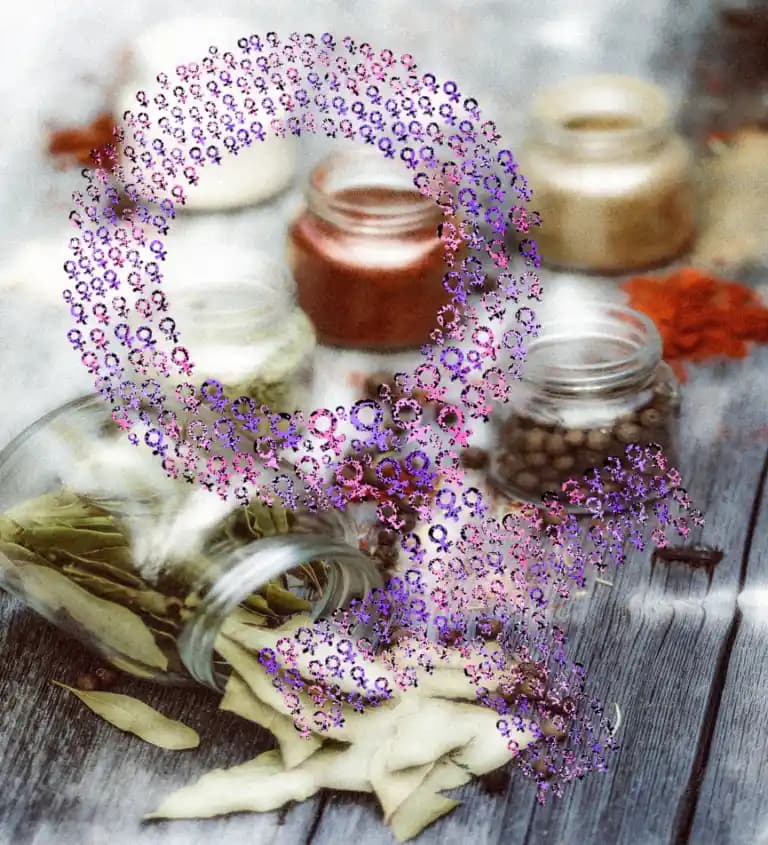 Bitkisel Östrojenler ve Kadın Sağlığında Güncel Yaklaşımlar