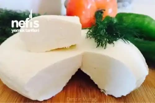 Bitkisel Peynir Mayası Nedir ve Vegan Peynir Üretiminde Kullanım Avantajları