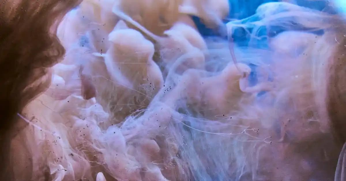 Böcek İlacıları ve Güvenli Kullanım Yöntemleri Çevre ve Sağlık Koruma Rehberi