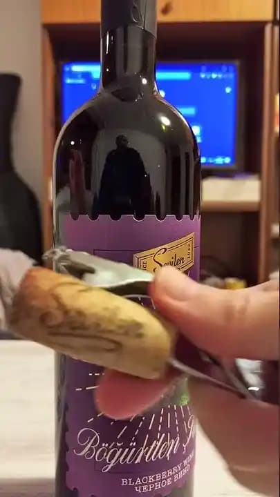 Böğürtlen Şarabının Özellikleri ve Seçim Kriterleri Hakkında Kapsamlı Bilgi