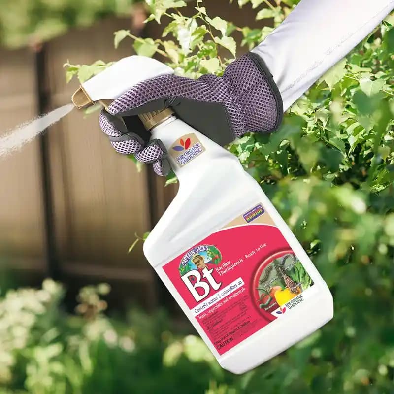 Bt İnsktisit Nedir, Özellikleri ve Tarımda Kullanım Alanları Hakkında Bilgi