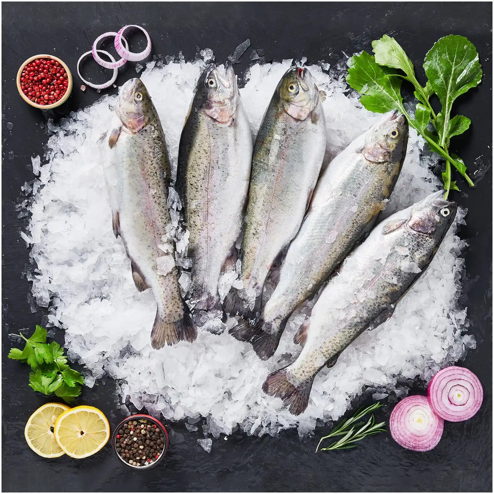 Canlı Alabalık Fiyatları ve Piyasa Dinamikleri Üzerine Güncel Değerlendirme