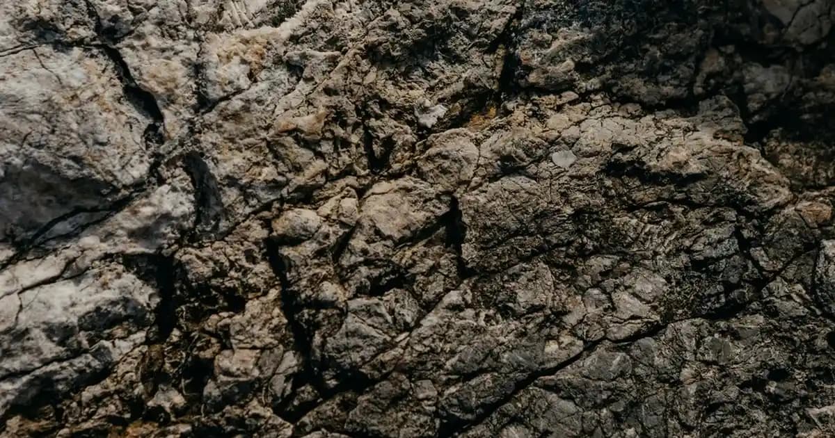 Çaykur Çay Paketleri: Çeşitleri, Saklama İpuçları ve Kalite Değerlendirmeleri