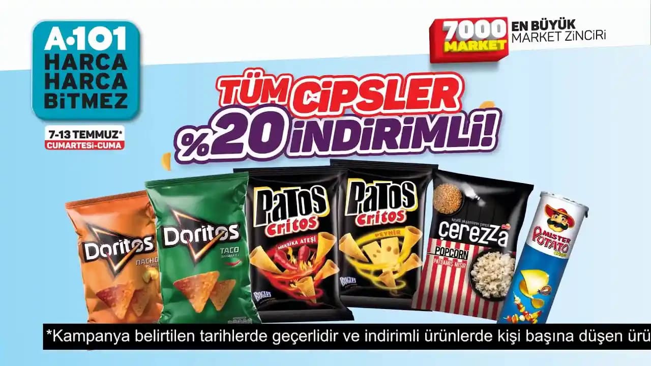 Cipslerin Çeşitleri, Özellikleri ve Günlük Hayattaki Yeri Analizi