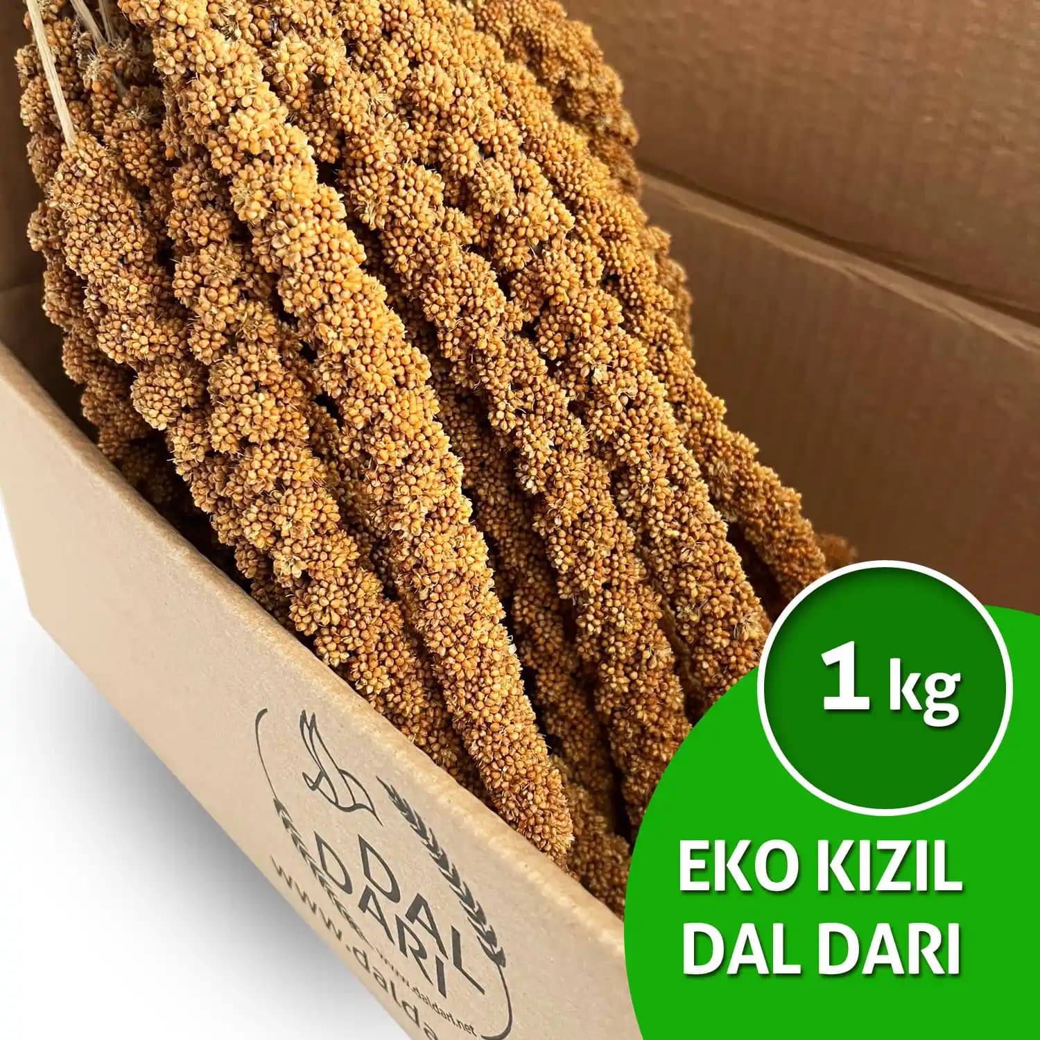Dal Darı: Sağlıklı ve Çok Yönlü Bir Baklagil Günlük Yaşamda Kullanımı ve Faydaları
