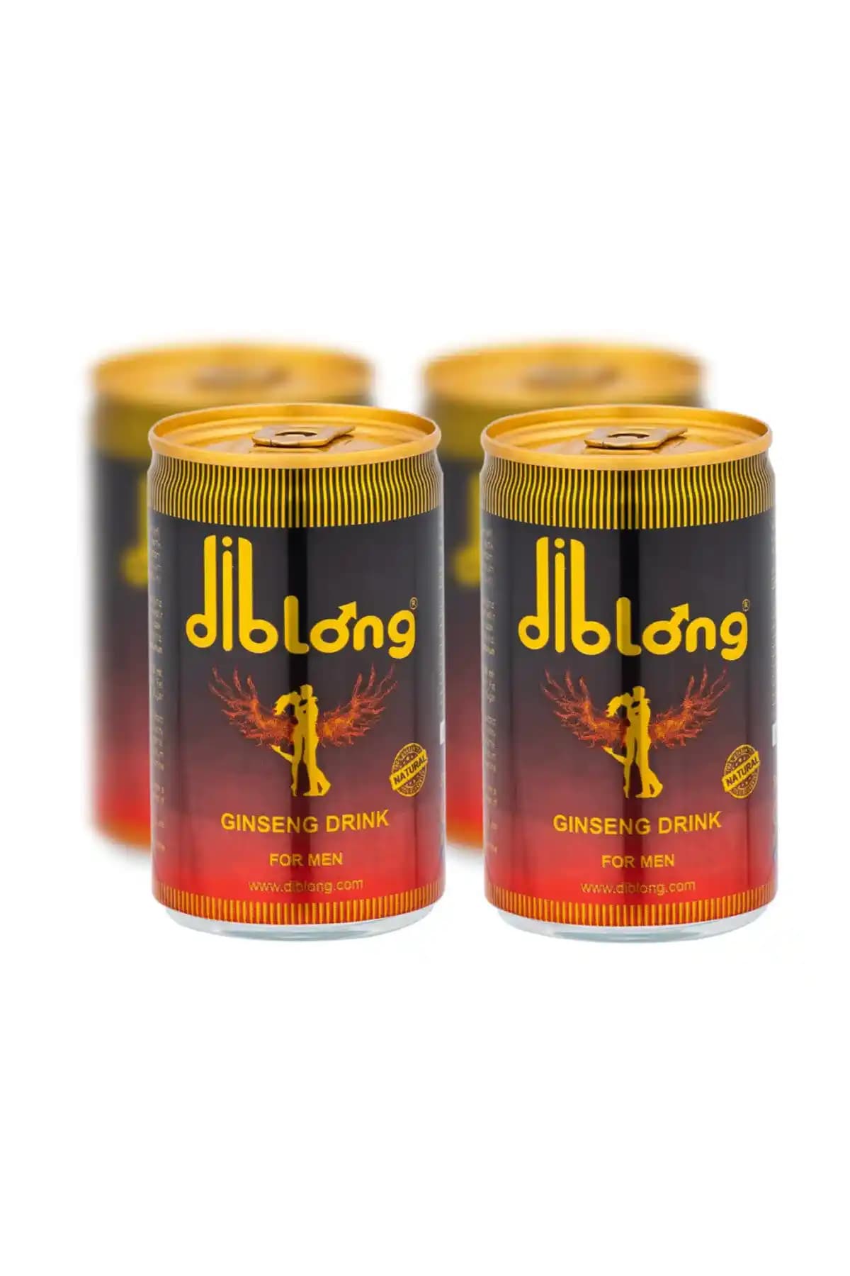 DİBLong İçecek: Piyasa Trendleri ve Tüketici Tercihleri Işığında Değerlendirme