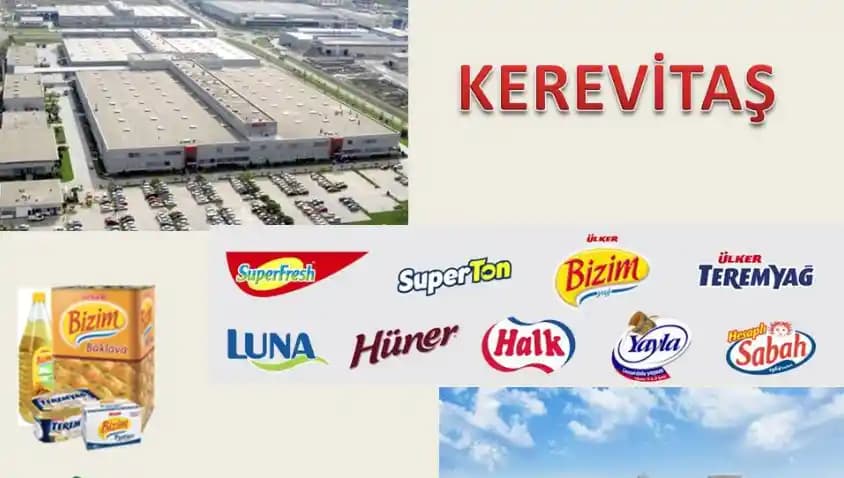 Dijital İçeriklerin Günlük Hayattaki Yeri ve Ev Ürünleriyle Entegrasyonu