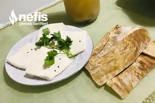 Doğal Peynir Mayası Nedir ve Peynir Üretiminde Sağladığı Faydalar