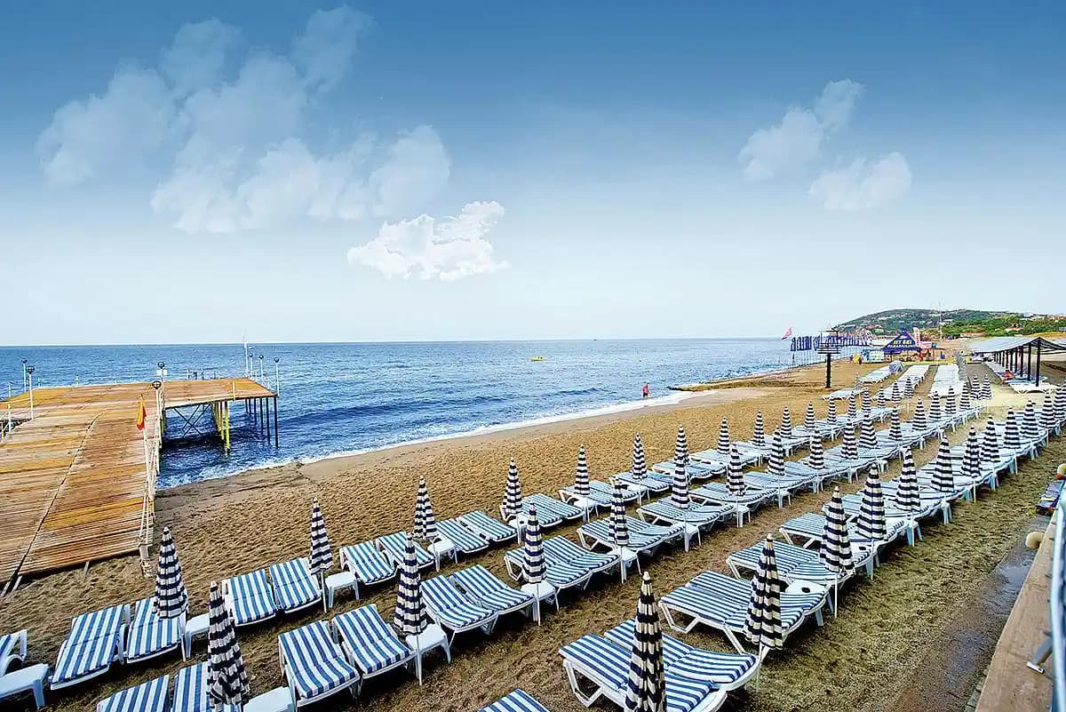 Doğal ve Sağlıklı Gıda Ürünleri: Kullanım Alanları ve Avantajları