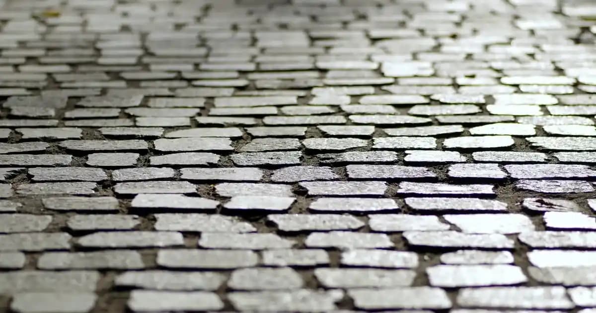 Elseve Köpüksüz Şampuan ile Saç Bakımında Yeni Dönem ve Avantajlar