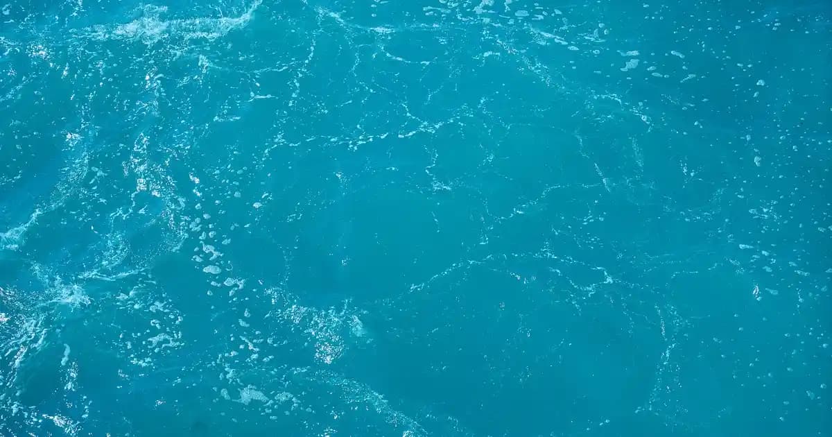 En Çok Melatonin İçeren Besinler: Doğal Uyku Düzeni Destekçileri