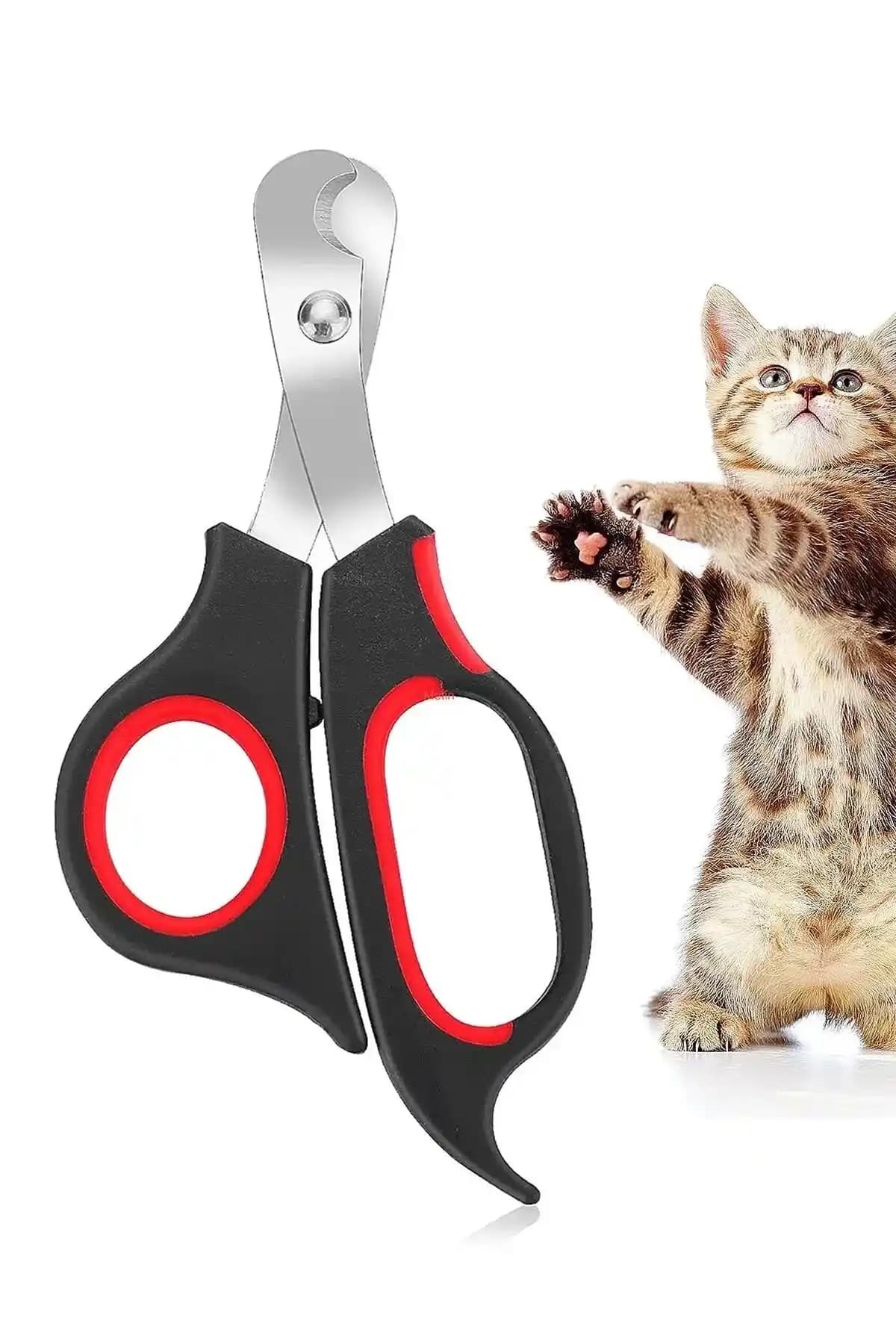 En İyi Kedi Tırnak Makası Seçimi: Güvenlik ve Konforun Önemi ve İpuçları