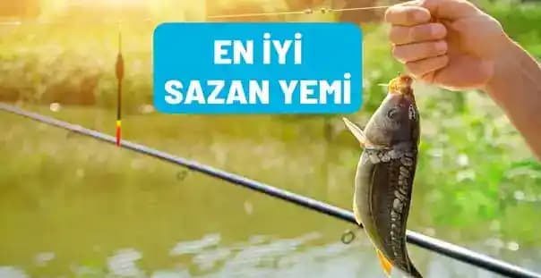 En İyi Sazan Yemi Seçimi: Balık Sağlığı ve Büyümesi İçin Doğru Tercih Rehberi