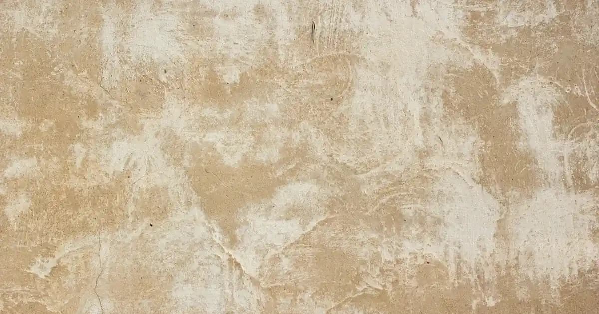 En İyi Şeker Hamuru Markaları ve Seçim Kriterleri Hakkında Kapsamlı Bilgi