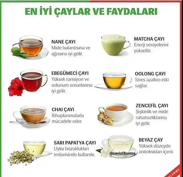 En Kaliteli Yeşil Çay Nasıl Seçilir: Özellikler ve Bilinçli Tercihler