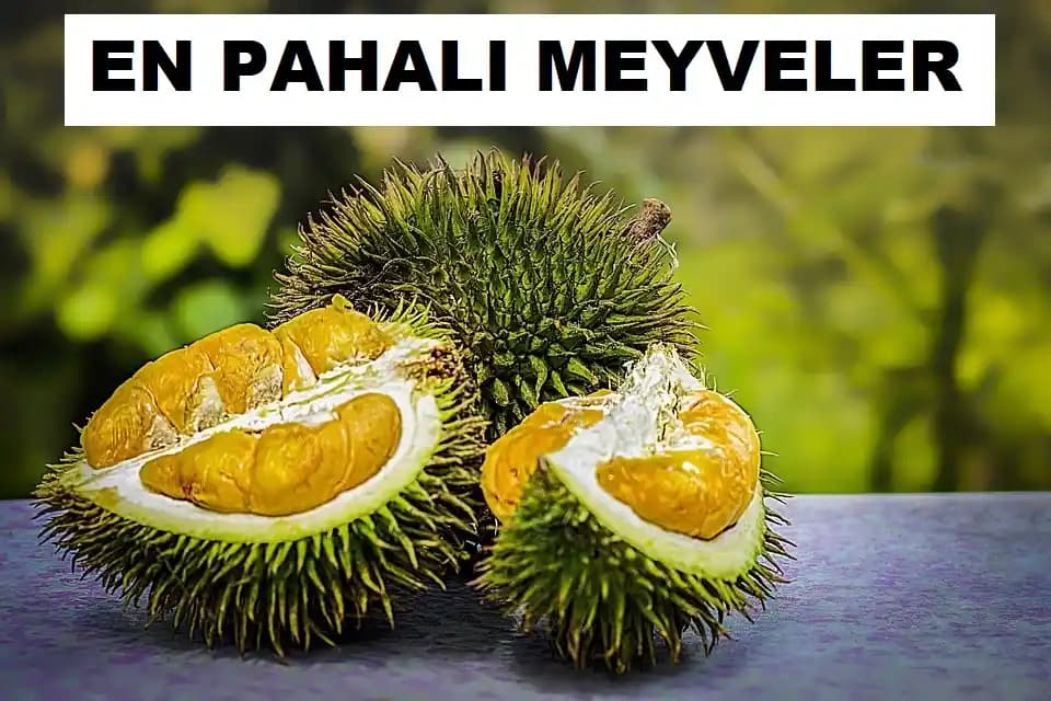 En Pahalı Sebze ve Meyveler ile Dekoratif Bitkilerin Fiyatlandırma Faktörleri