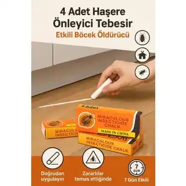 Evlerde Karınca Problemi ve Etkili Çözüm Yöntemleri