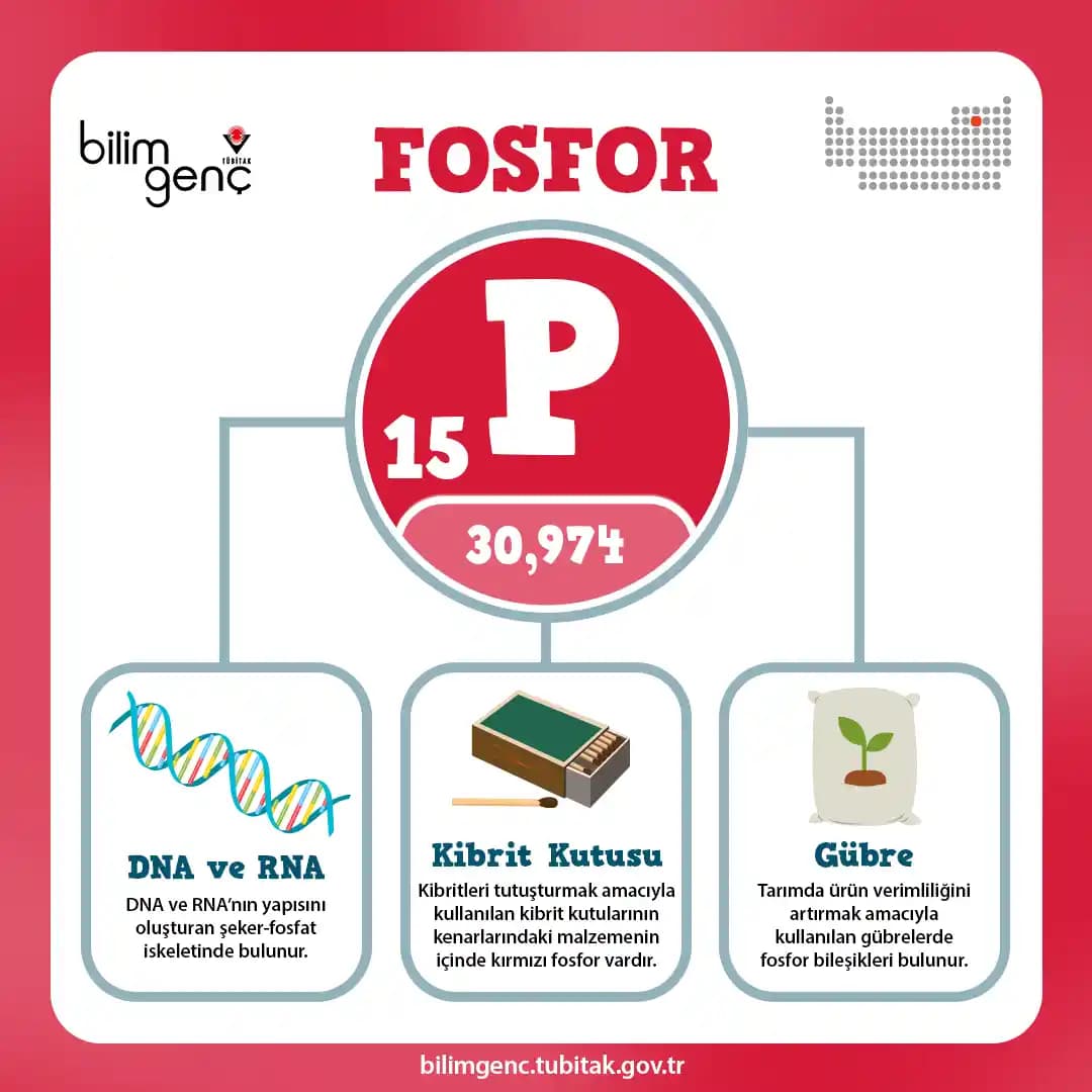 Fosforun Günümüzdeki Kullanım Alanları ve Önemi: Tarım ve Endüstride Sürdürülebilirlik