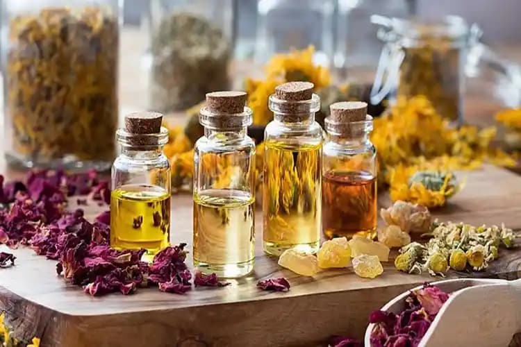 Gebelikte Kantaron Yağı Kullanımı: Bilinmesi Gerekenler ve Güvenlik İpuçları