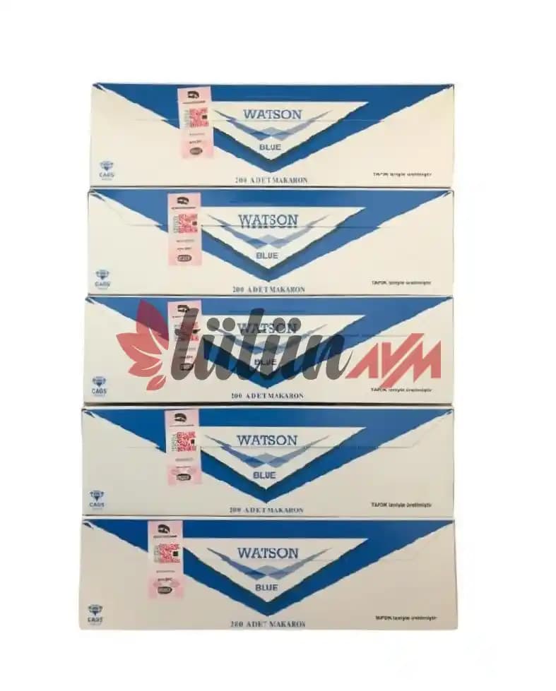 Güney Amerika'nın Gizemli Canlısı Darwin'in Tilkisi ve Koruma Çabaları