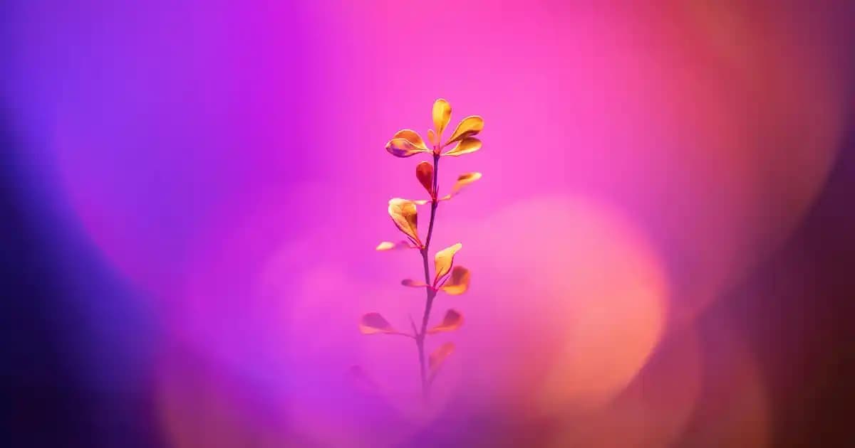 Hazır Yoğurt Mayası Kullanımı ve Kalite İpuçlarıyla Evde ve İşletmede Yoğurt Üretimi