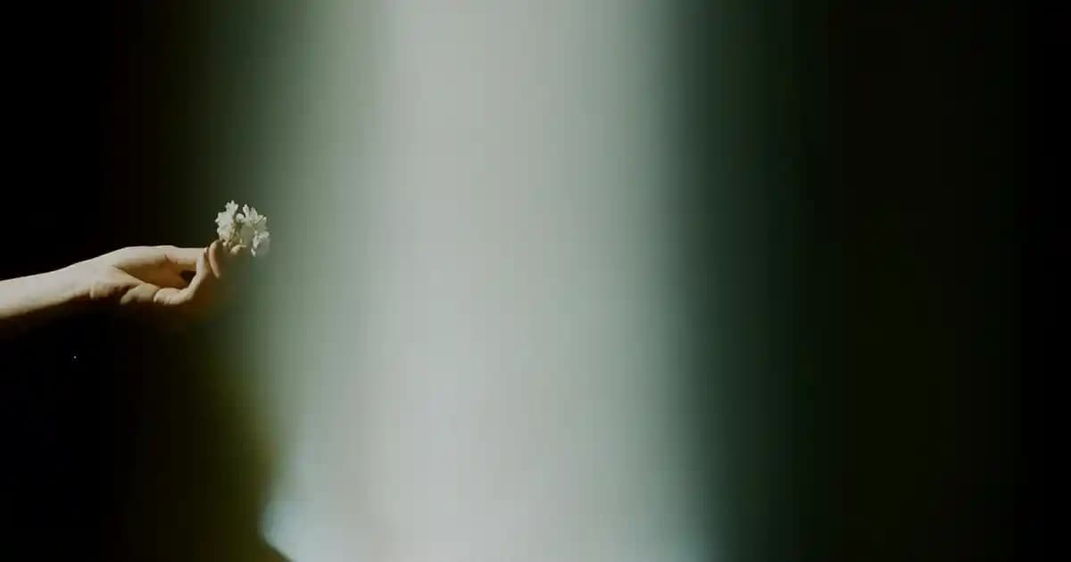 Ihlamur Ağacının Özellikleri ve Sağlık ile Çevre Üzerindeki Etkileri