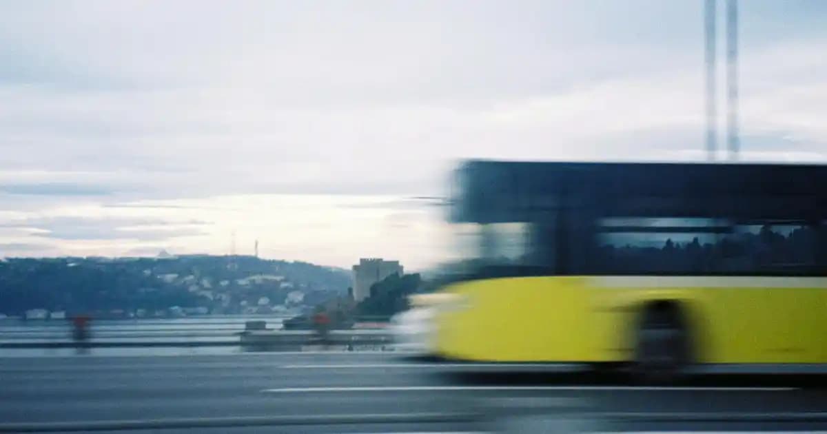 İkea 3'lü Kaktüs Seti ile Ev ve Ofis Dekorasyonunda Pratik ve Estetik Çözüm