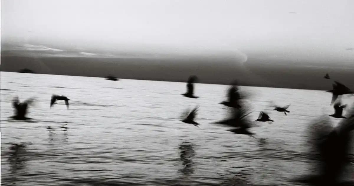 Ikea Aktivite Önlüğü Çocuklar ve Aileler İçin Güvenli ve Pratik Kullanım Sağlayan Ürün