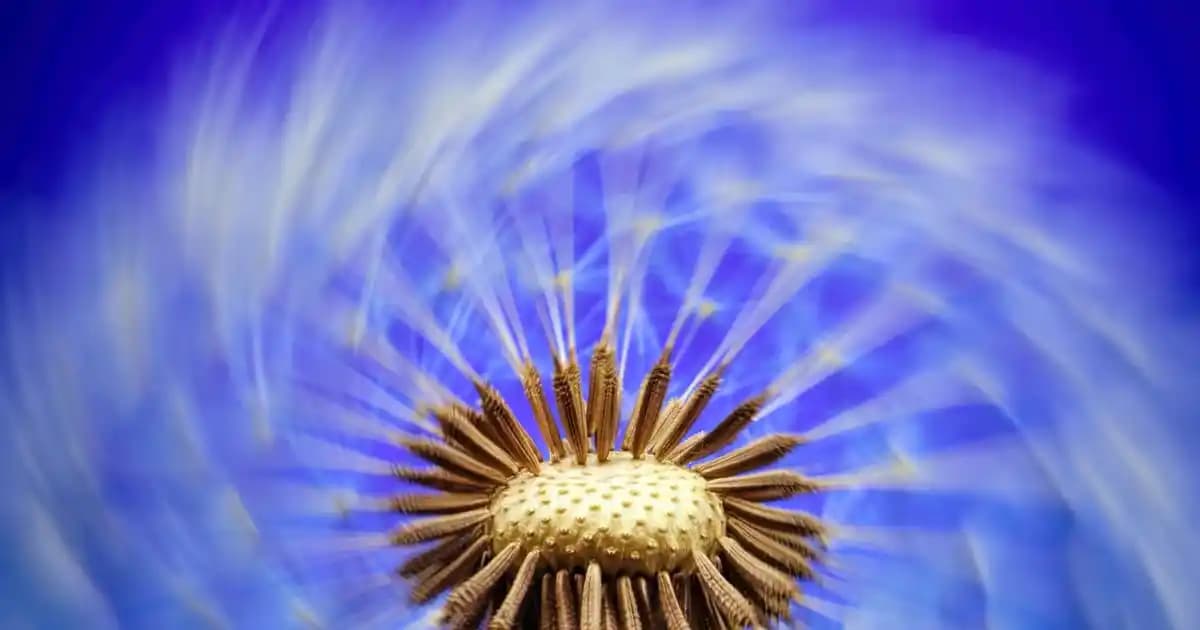 IKEA Antilop Mama Sandalyesi: Güvenli ve Pratik Çocuk Yemek Sandalyesi Özellikleri