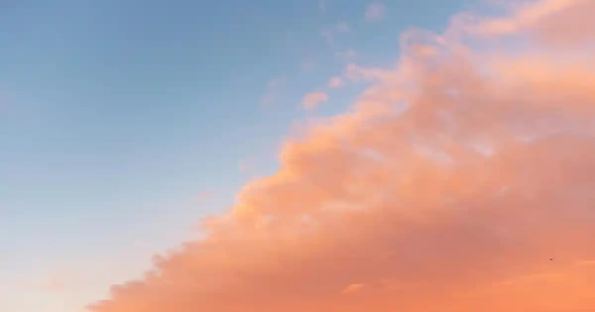 İmnol ve Sağlıkta Tıbbi Görüntüleme Teknolojilerindeki Rolü ve Önemi