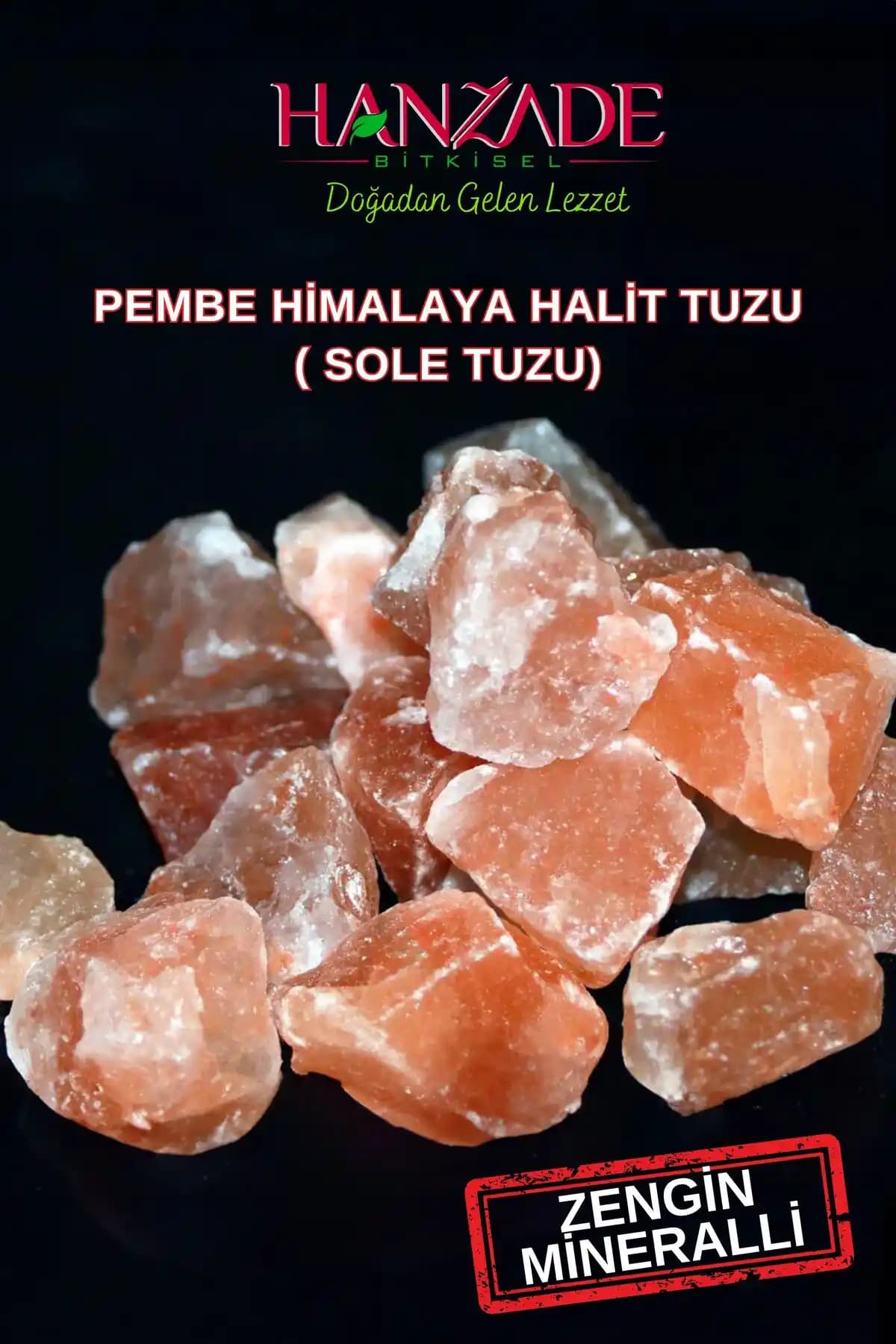 INSS’de Dijital Dönüşüm ve Elektronik Vekalet Sistemleri Güncel Gelişmeleri