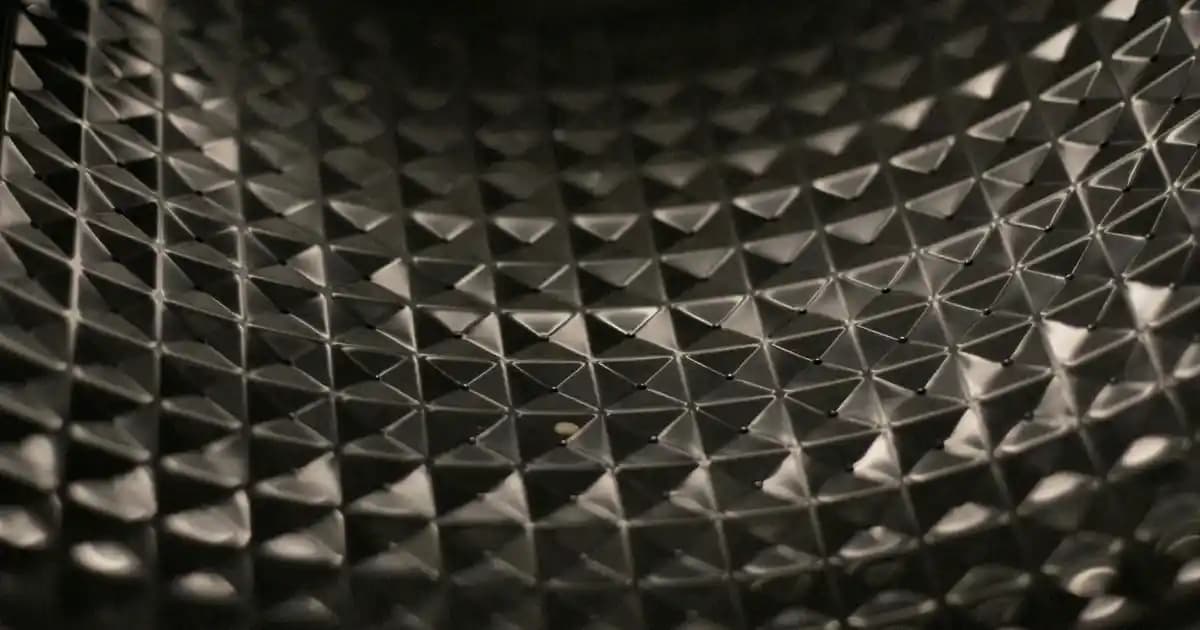 Jirafaların Uzun Boynunun Anatomik ve Evrimsel Temelleri Hakkında Detaylı Bilgi