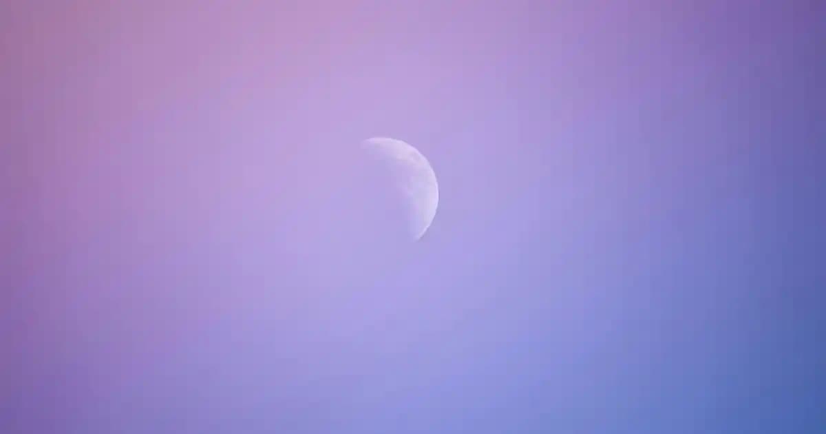 Kakaolu Kek Tarifi: Pratik ve Lezzetli Bir Tatlı Seçeneği