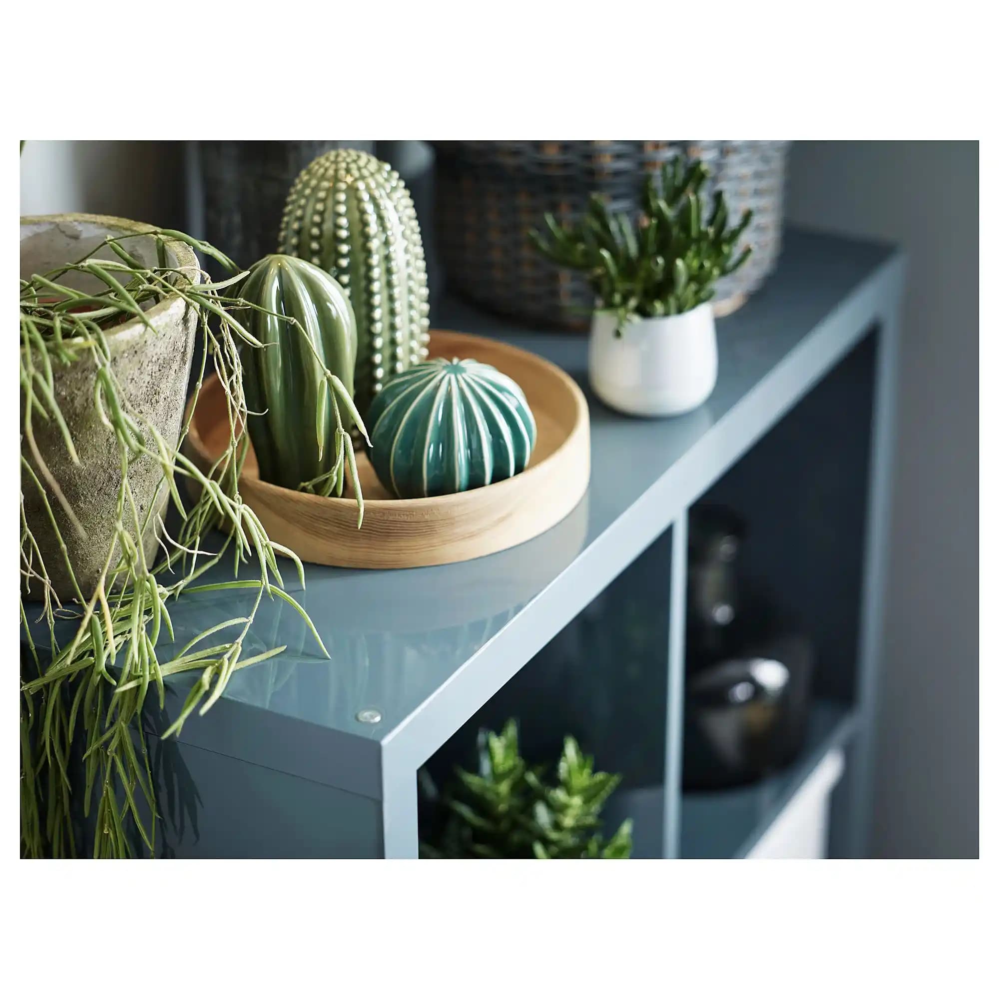 Kaktüs Aksesuarları ile Ev Dekorasyonunda Doğal ve Şık Bir Dokunuş