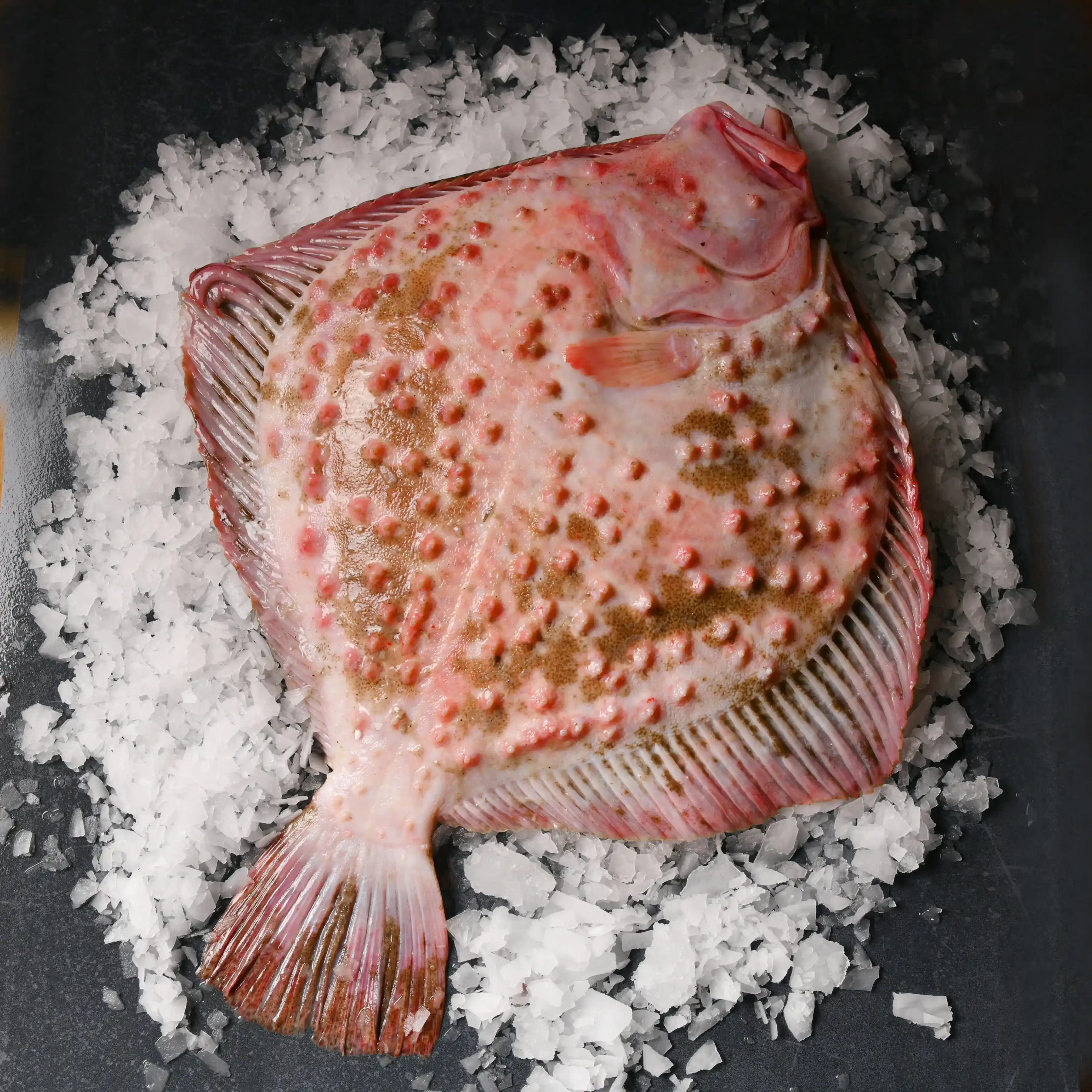 Kalkan Balığı: Sağlıklı ve Lezzetli Deniz Ürünleri Seçeneği