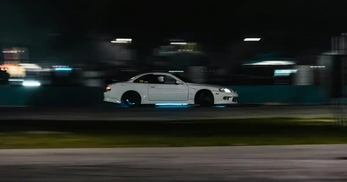 Kedi Diş Sağlığı Ürünleri ile Kedinizin Ağız ve Diş Sağlığını Koruyun