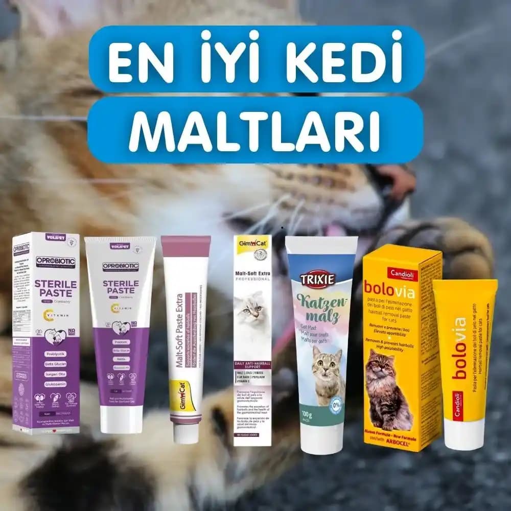 Kedi Maltı Nedir ve Kedinizin Sağlığını Nasıl Destekler