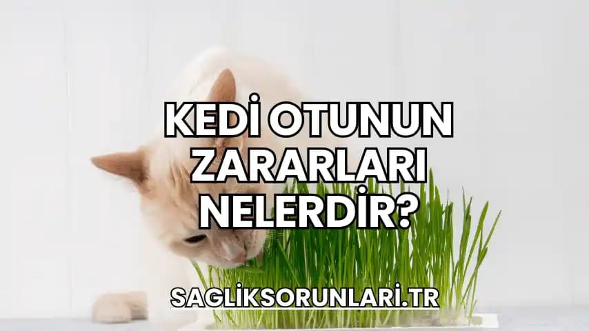 Kedi Otu ve Potansiyel Zararları: Doğru Kullanım ile Kedinizin Sağlığını Koruyun